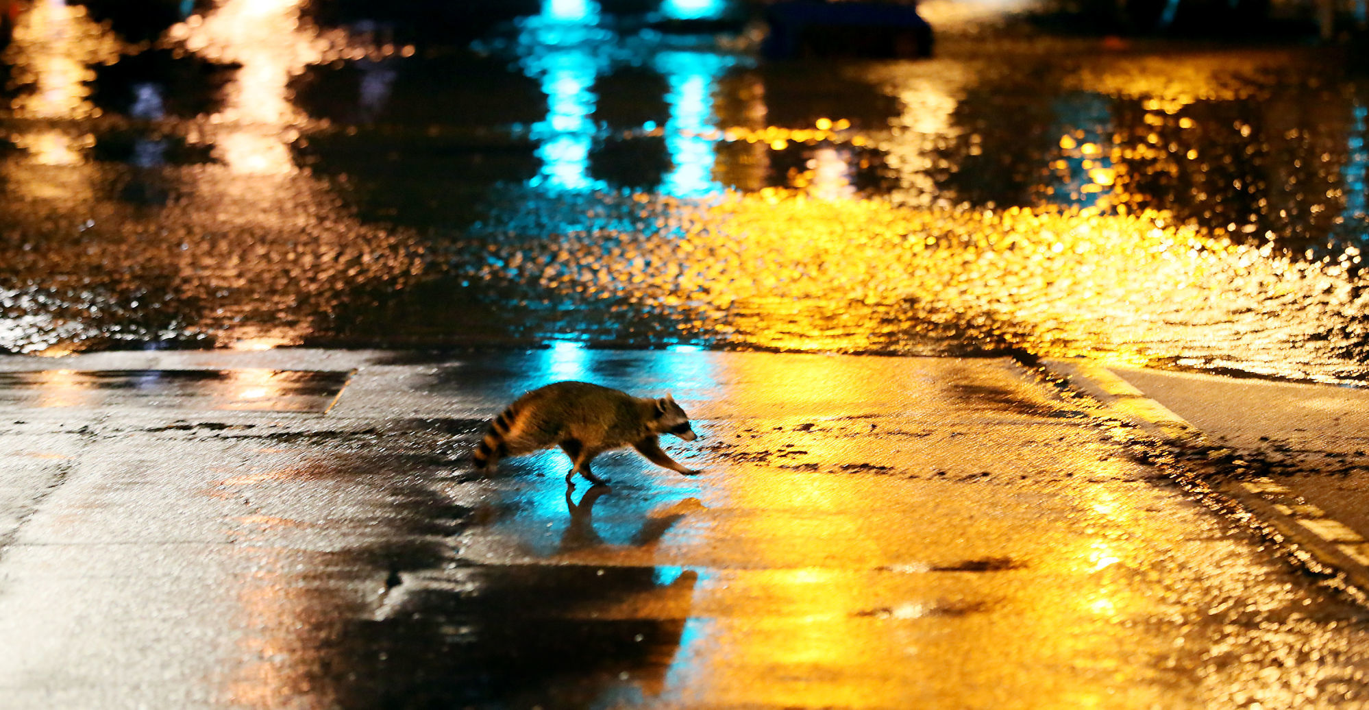 043019-night-flood-008